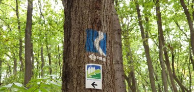 Rheinsteig und Klostersteig Wegweiser am Baum