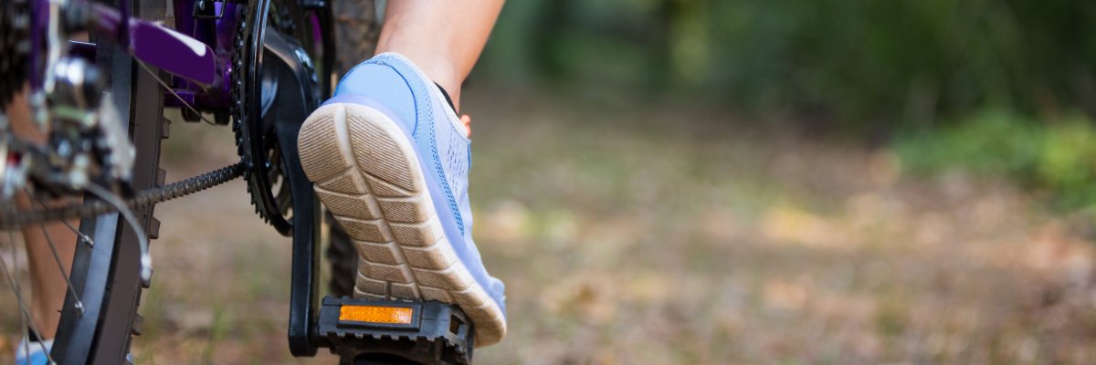 eine Person, sitzt auf ihrem Fahrrad im Wald