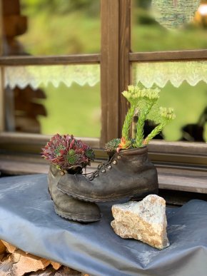Wanderschuhe als Blumenbeet