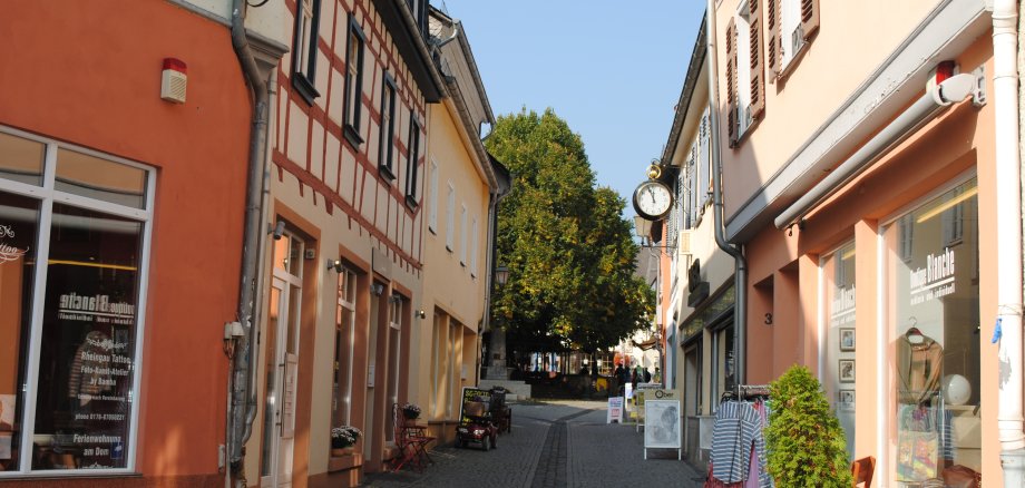 Geisenheimer Innenstadt