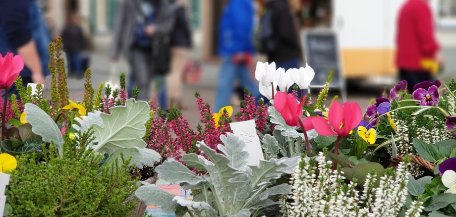 Blumenstandt auf dem Wochenmarkt