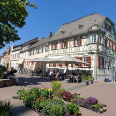 Blick über den Wochenmarkt