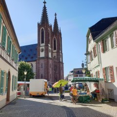 Blick auf den Dom und auf den Wochenmarkt