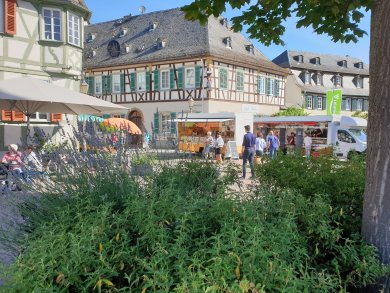 Blick über den Wochenmarkt