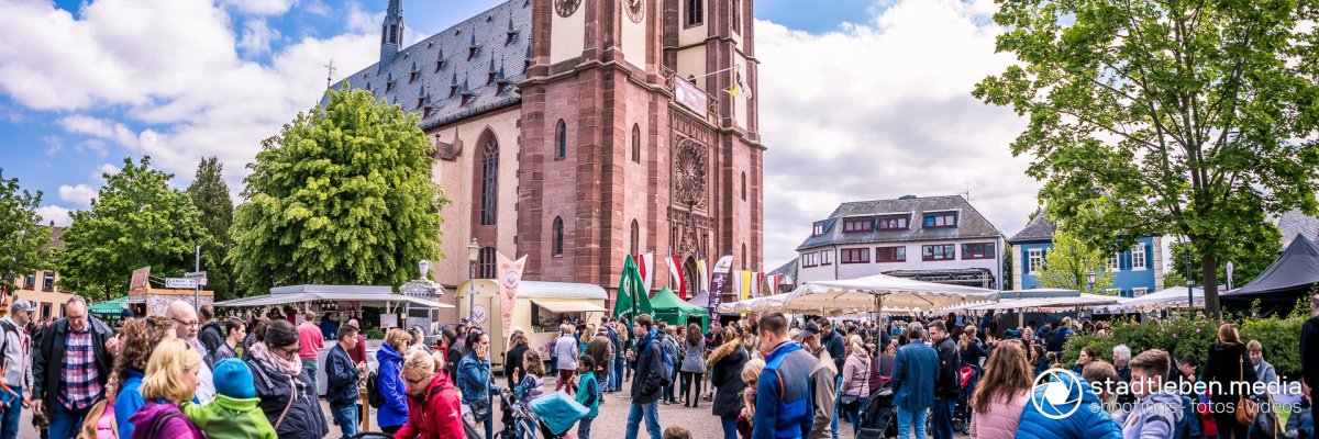 Rheingauer Dom beim Frühlingserwachen