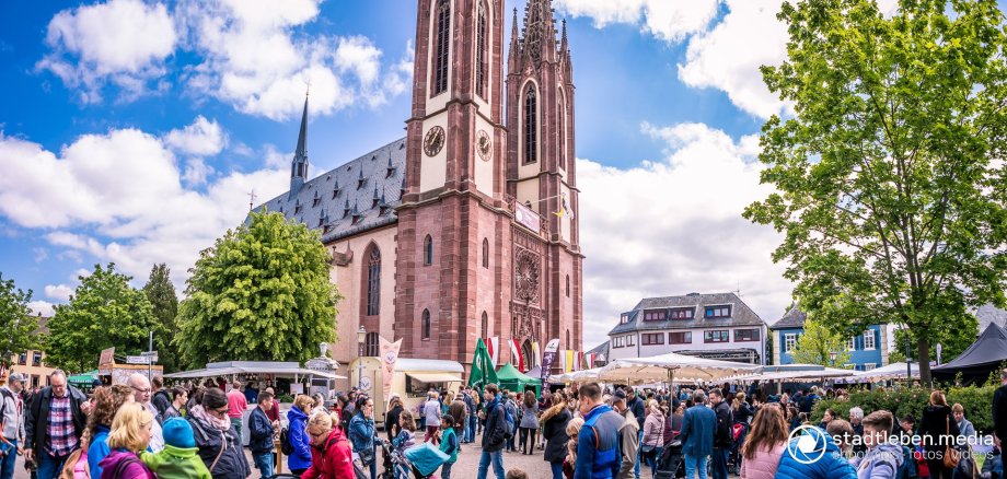Rheingauer Dom beim Frühlingserwachen