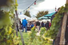 Morschbergfest Weinberg Fest