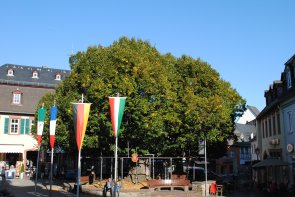 Lindenplatz in Geisenheim