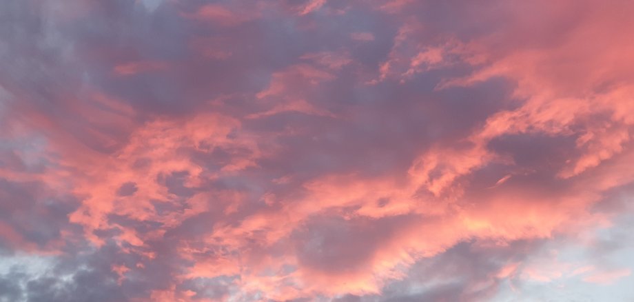 Rosa-lila Wolken