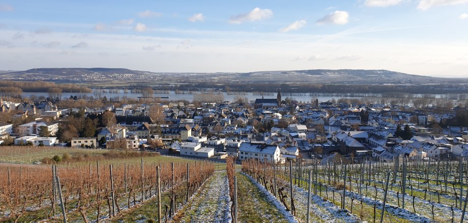 Verschneite Weinberge