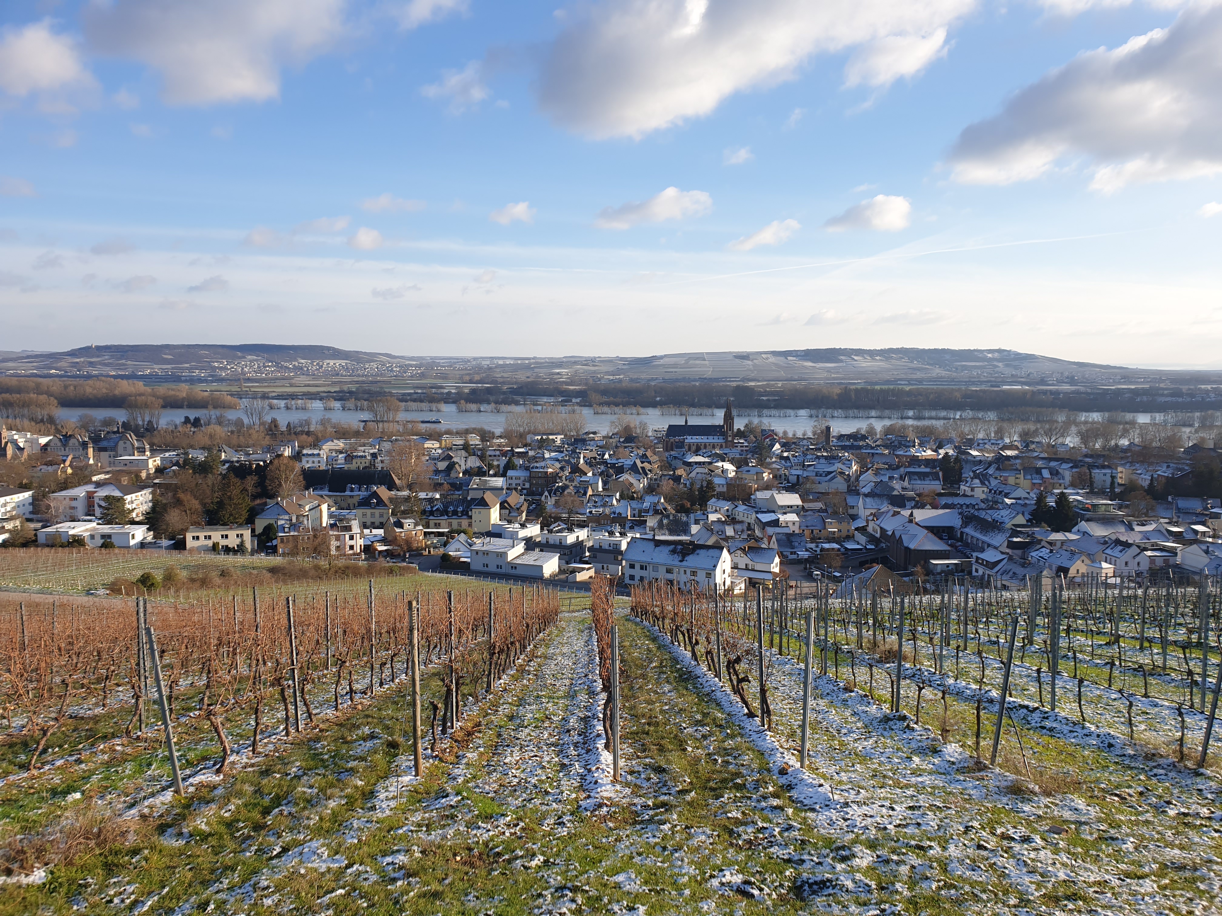 Verschneite Weinberge