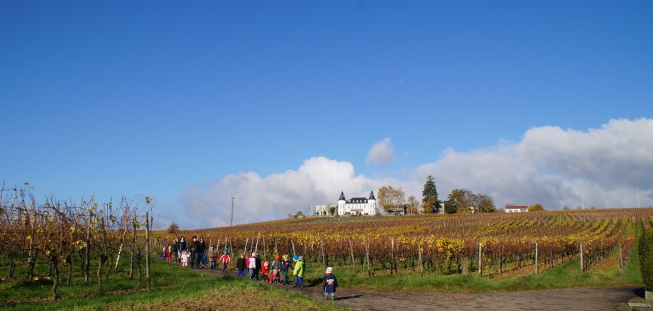Kinder im Weinberg