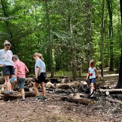 Kinder bei einem Ausflug im Wald bei Marienthal.