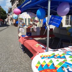 Das Projekt des Knirpsenland Kindergartens
