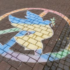 Friedenstaube aus kreide auf dem Domplatz