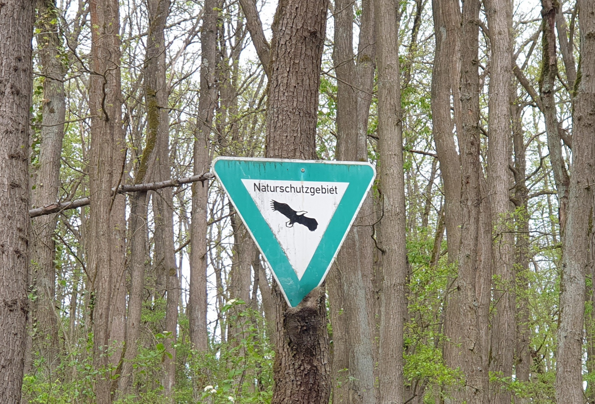 Naturschutzgebiet Schild n einem Baum