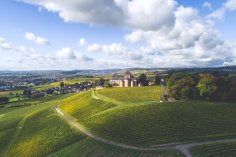 Panorama Johannisberg