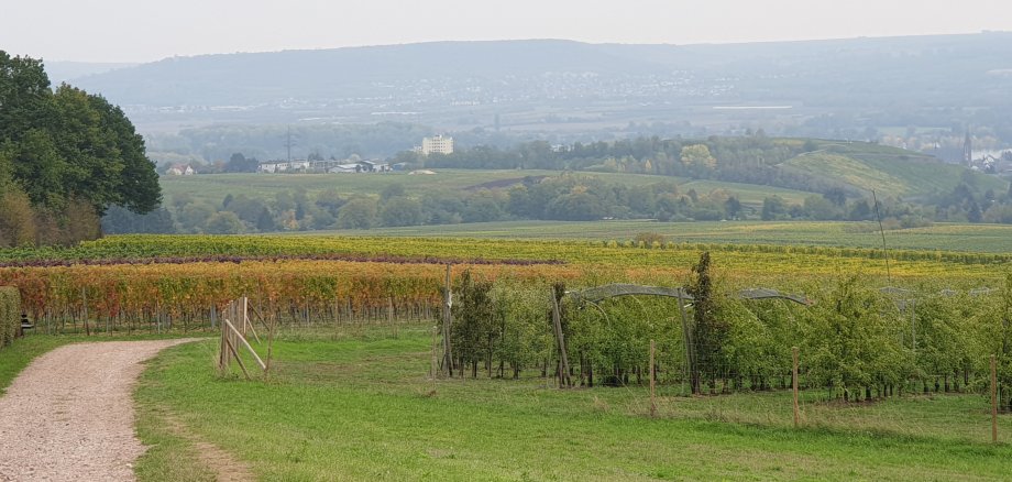 Feldweg
