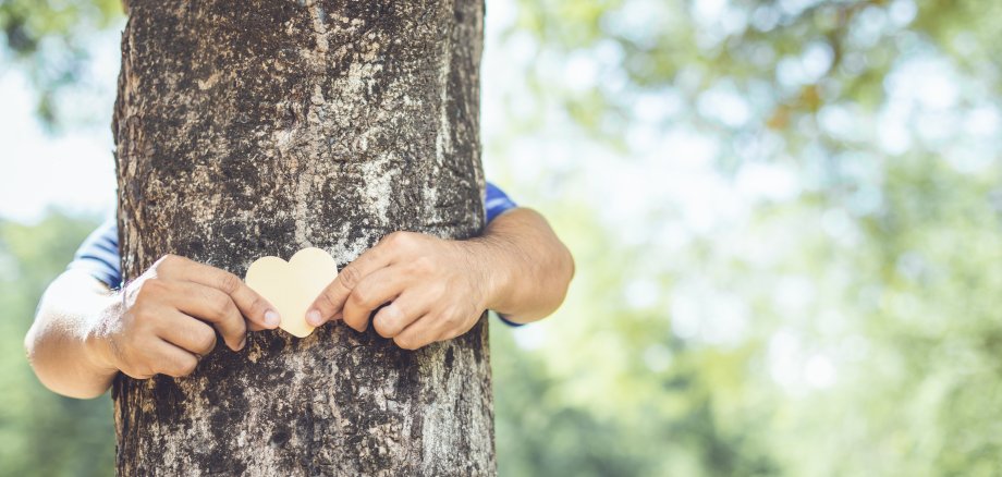 Asian man giving a hug on big teak tree hug. Love tree and nature or environment concept