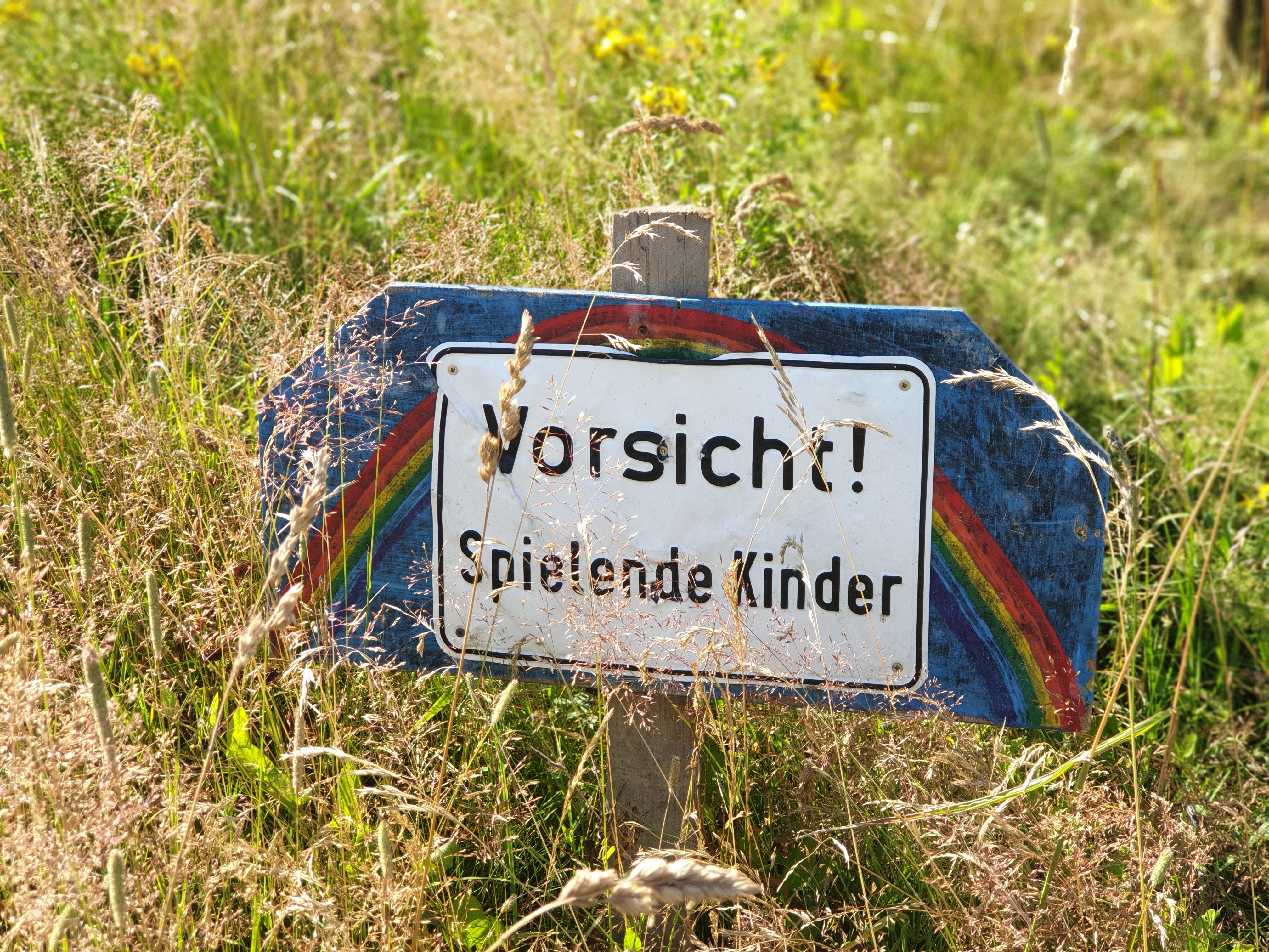 Schild Vorsicht Spielende Kinder 