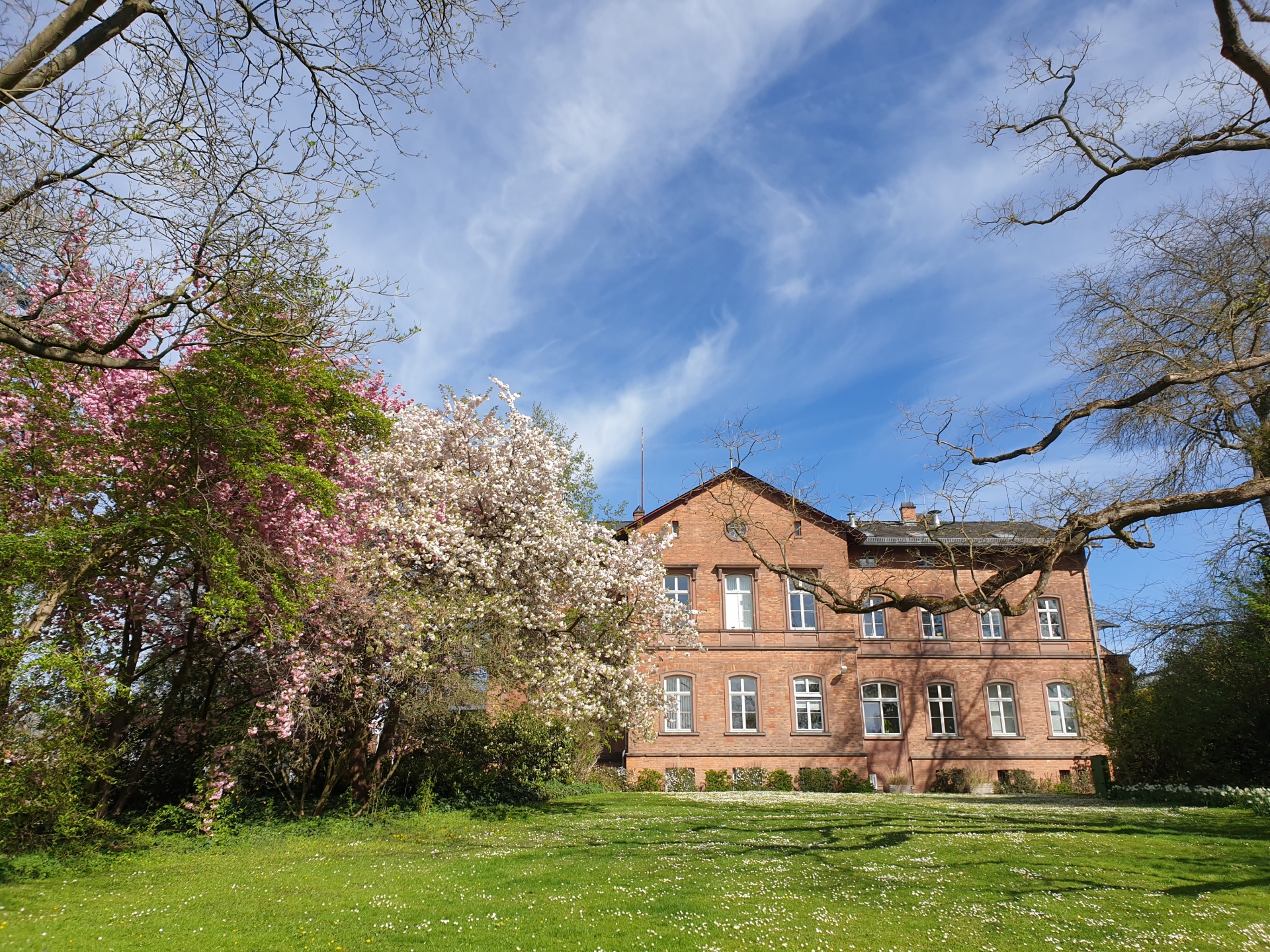 Verwaltungsgebäude (Backstein) der Hochschule Geisenheim mit davorliegender Grünfläche