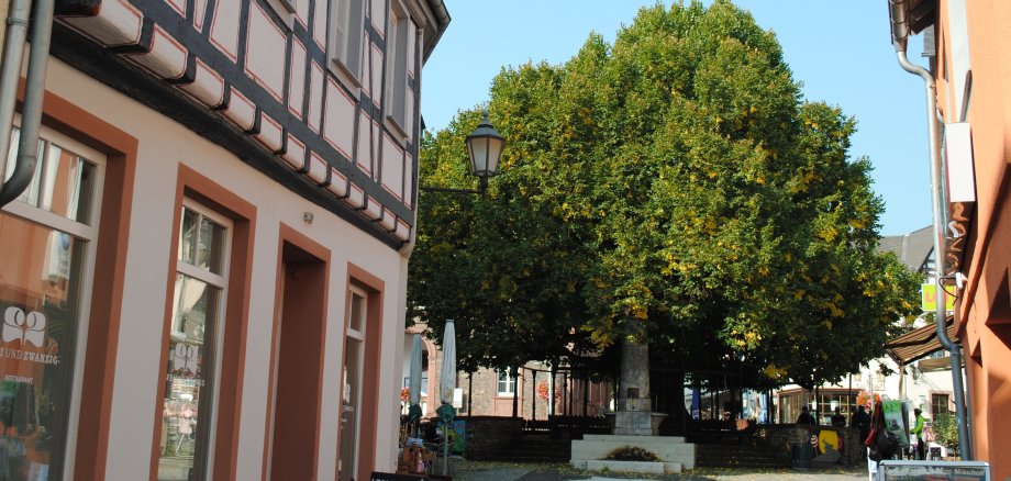 Lindenplatz Geisenheim