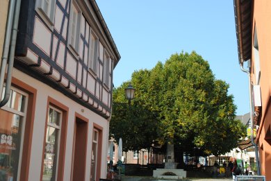 Lindenplatz Geisenheim