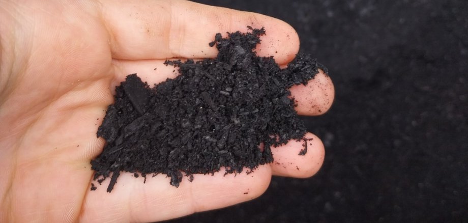 Pflanzaktion Bäume HGU Pflanzenkohle