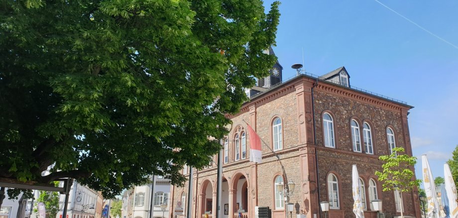 Geisenheimer Rathaus im Sommer