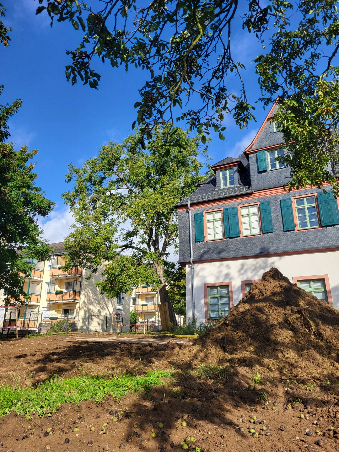 Erdhaufen im Bachelin-Garten