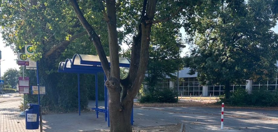 Buhaltestelle Rheingau Schule