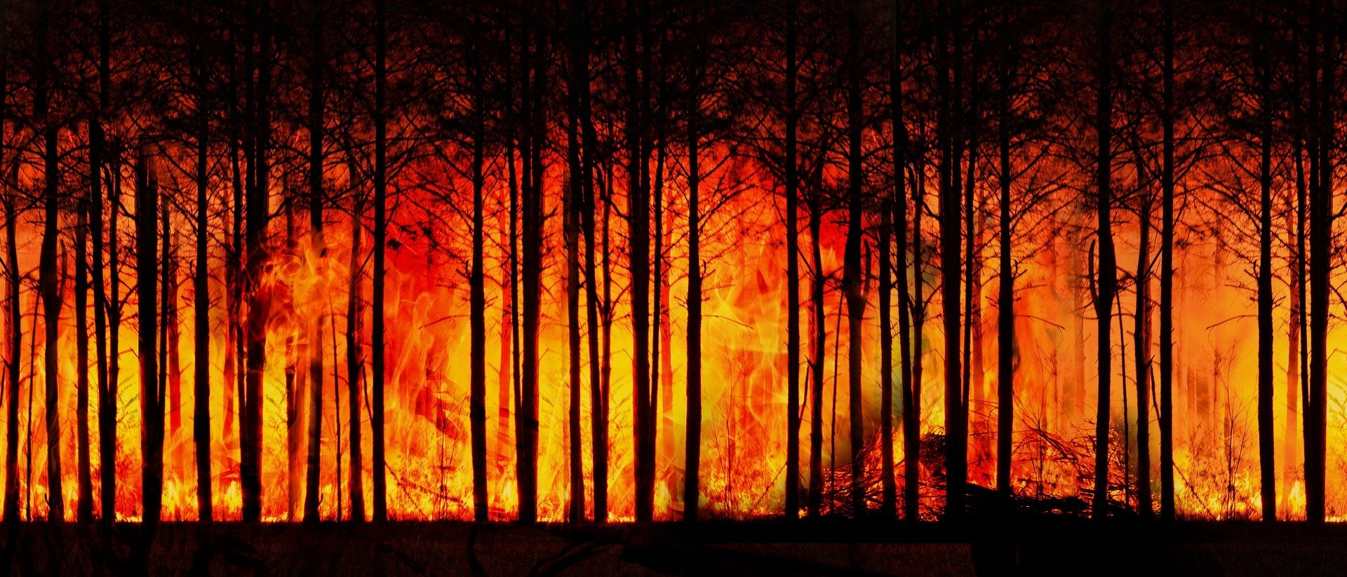 Waldbrand