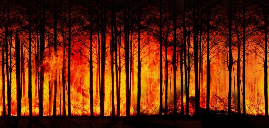 Waldbrand