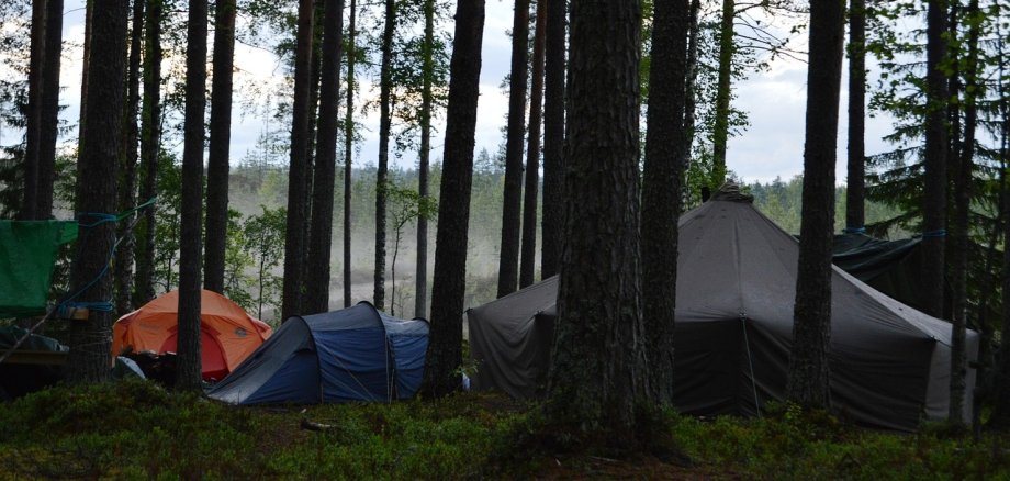 Zelte im Wald