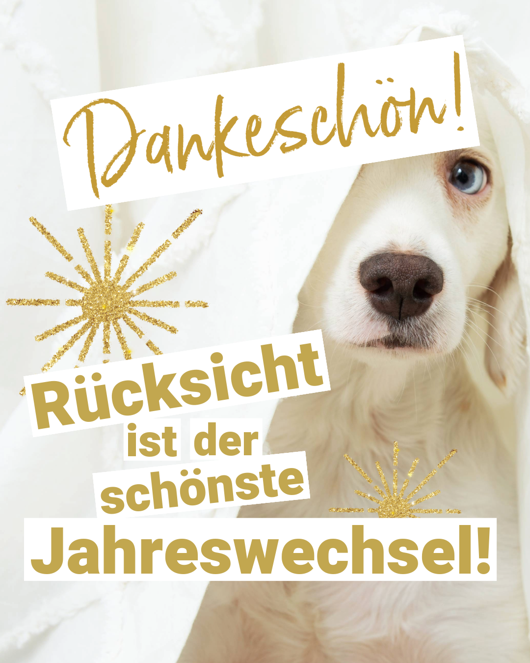 Dankeschön mit Hund der unter Decke hervorguckt