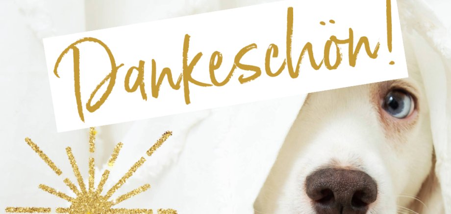 Dankeschön mit Hund der unter Decke hervorguckt