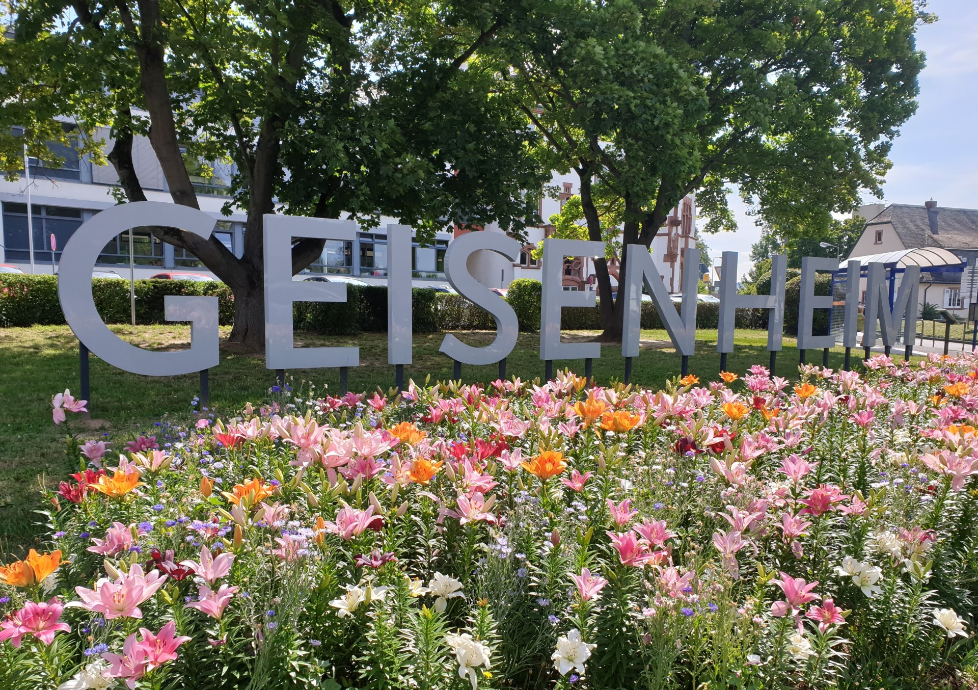 Blumenbeet vor dem Geisenheim Schriftzug