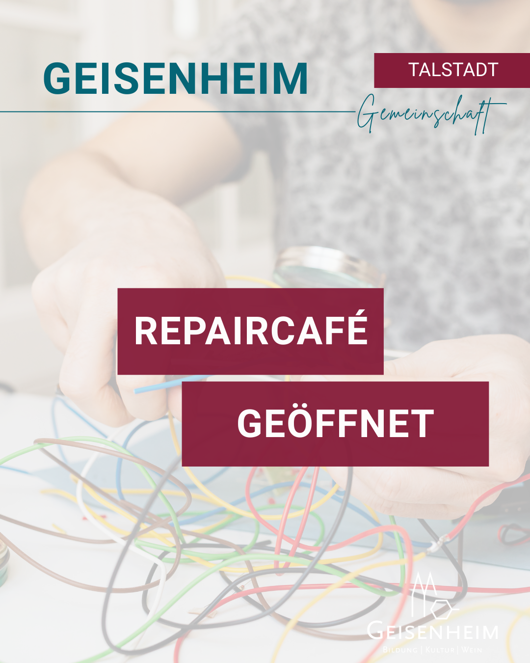 GEISENHEIM_Vorlagen (Instagram-Post (4:5)) - Repaircafe