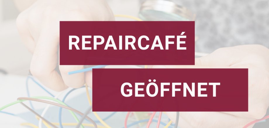 GEISENHEIM_Vorlagen (Instagram-Post (4:5)) - Repaircafe GEISENHEIM_Vorlagen (Instagram-Post (4:5)) - Repaircafe