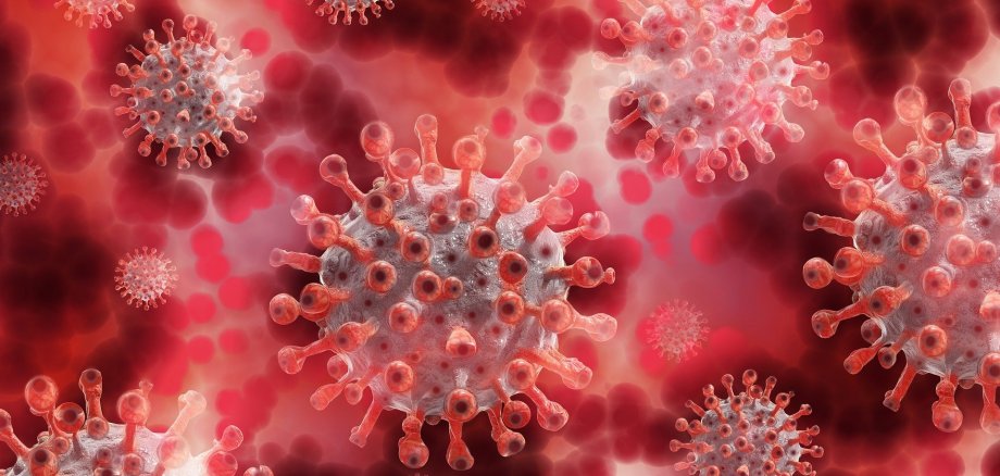 Corona Virus