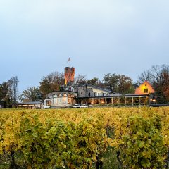 Burg Schwarzenstein