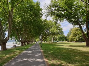 Weg am Rhein entlang