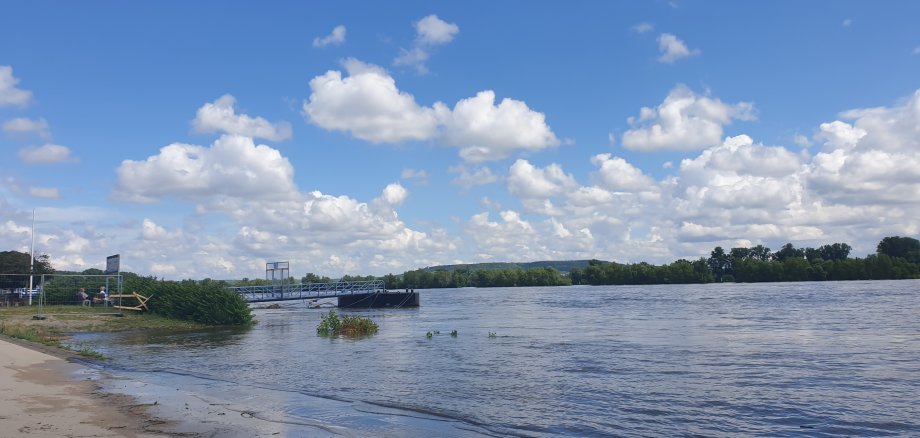 Blick über den Rhein