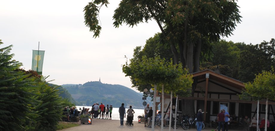 Weinprobierstand am Rhein 