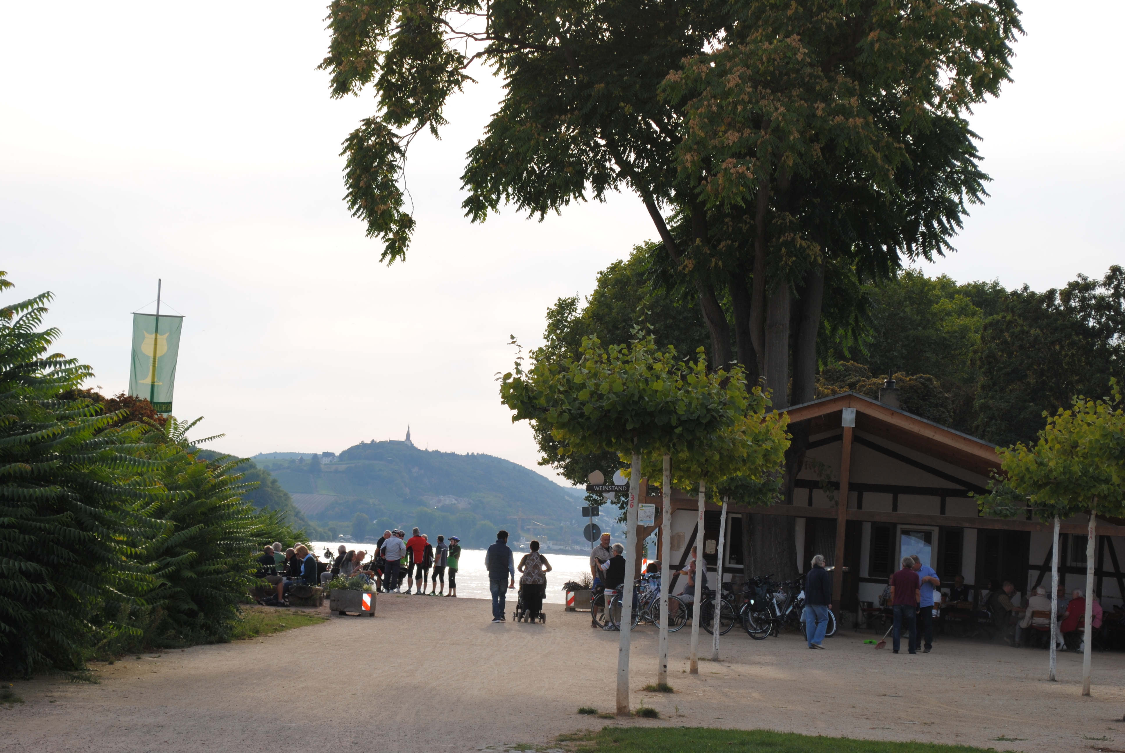 Weinprobierstand am Rhein 