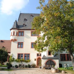 Schloss Schönborn