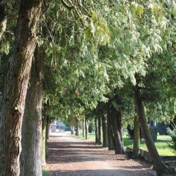 Kultur & Tourismus | Geisenheim