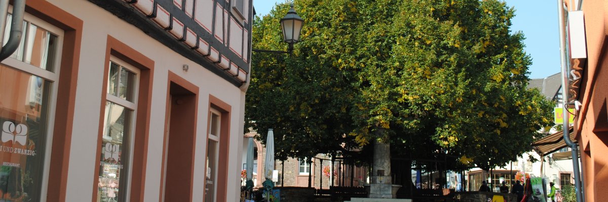 Geisenheimer Lind