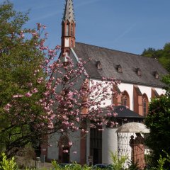 Kloster Marienthal
