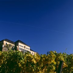 Schloss Johannisberg